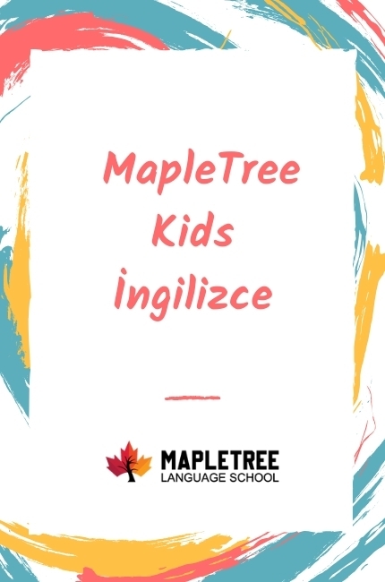 Maple Tree Kids İngilizce 